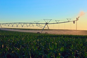 Walls Irrigation