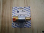 Skinner Solenoid Valve with Coil