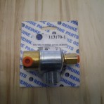 Skinner Solenoid Valve with Coil