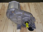 GEAR MOTOR-HIGH-25:1-W/TP